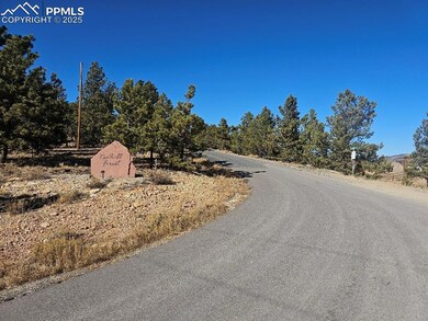 5585 Middle Fork Vista, Fairplay, CO 80440 - photo 6