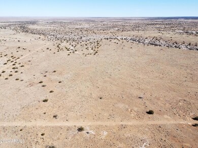 DJI_0216
