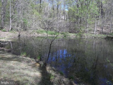 0 Wild Turkey Ct, Front Royal, VA 22630 - photo 2