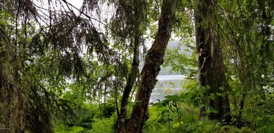 20180718_115257_resized