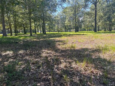 0 Nation Rd, Deville, LA 71328 - photo 4