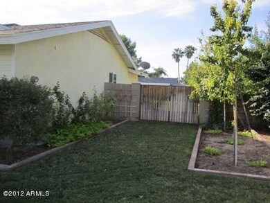 8front yard 1