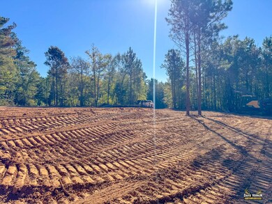 12068 Farm To Market 130, Hughes Springs, TX 75656 - photo 6