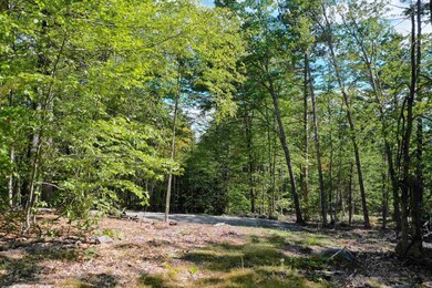 784 Texas Hill Rd, Plymouth, NH 03264 - photo 2