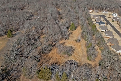 0 Hampton Meadow Ln unit 10188771, Bartlett, TN 38002 - photo 4