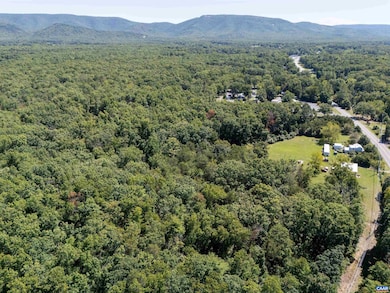 TBD E Side Hwy, Crimora, VA 24431 - photo 3