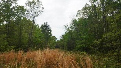 Goldman York Lot 5 - Img_3