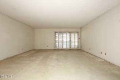 Huge Living Room