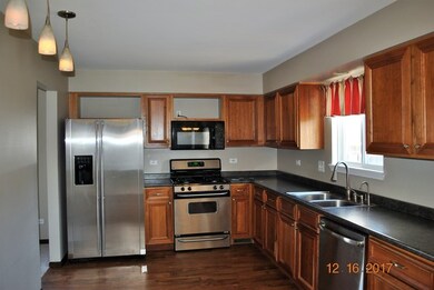 2447 Warm Springs Ln, Naperville, IL 60564 - photo 5