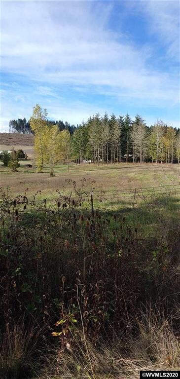 24322 Gellatly Way, Philomath, OR 97370 - photo 4