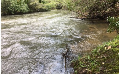 L 619 Neshoba Ct, Ellijay, GA 30540 - photo 3