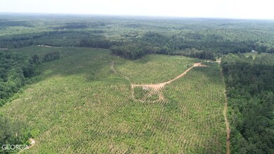 45+/- AC Noles Rd, Franklin, GA 30217 - photo 4