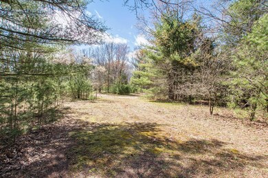 0 Lots 7 & 8 N Wilvan Dr unit 23014064, Bitely, MI 49309 - photo 7