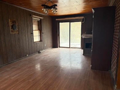 3001 Longdale Furnace Rd, Clifton Forge, VA 24422 - photo 6