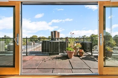 45 Trowbridge St unit PH, Cambridge, MA 02138 - photo 6