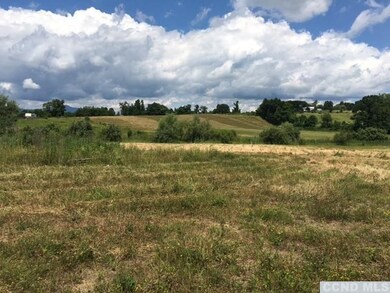 0 County Route 6 unit 120456, Clermont, NY 12526 - photo 4