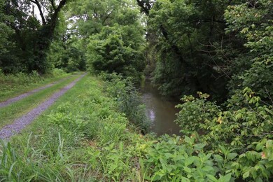Glade Creek next to road
