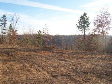 100 acres view