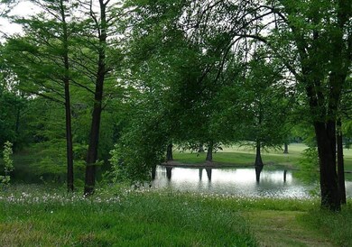 6602 Harbor Town Dr unit 505, Houston, TX 77036 - photo 2