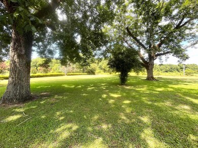 2075 Lowman Loop, Dozier, AL 36028 - photo 3