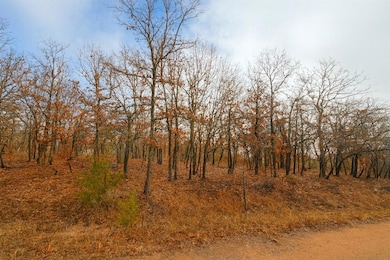 1485 189th Ave NE, Norman, OK 73026 - photo 3