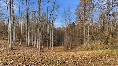 481 Hidden Forest Trail, Spring City, TN 37381 - photo 3