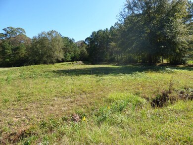 1027 Deer Ridge Rd, McComb, MS 39648 - photo 2