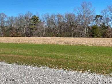0 Cripple Creek Rd, Canton, MS 39046 - photo 7