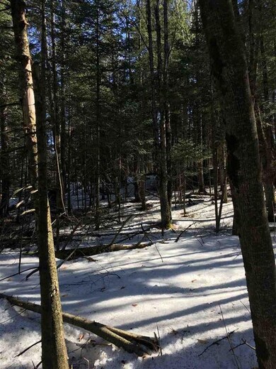 23 Littleton Rd unit lot 23 (Survey map, Whitefield, NH 03598 - photo 5