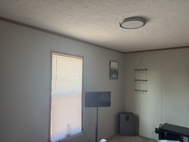 1525 Iron Trail E, Indianapolis, IN 46234 - photo 3