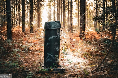 0 Camp Brooklyn Rd unit 10610288, Fitzgerald, GA 31750 - photo 6