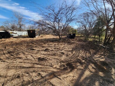 4009 Diann Dr, Granbury, TX 76049 - photo 6