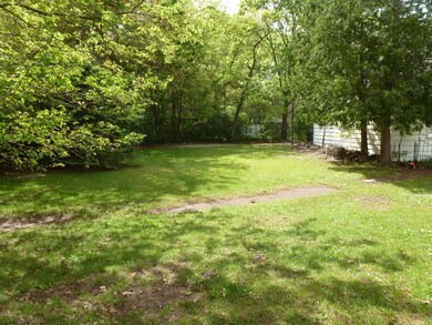 4-Back Yard
