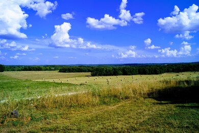 DSC08821