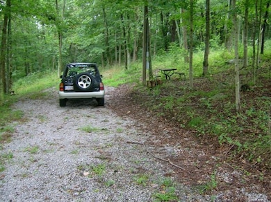 550 Normans Camp Rd, Harrodsburg, KY 40330 - photo 4