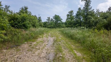 10916 Stella Way, Birch Tree, MO 65438 - photo 5