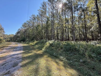 233 Zara Spook Dr, Cedar Grove, TN 38321 - photo 2