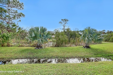 Pond View from the Road