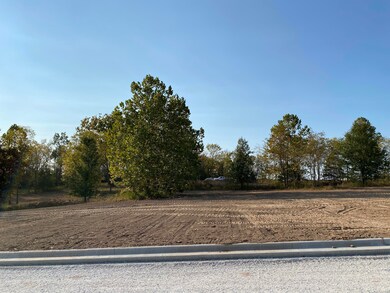 L61 Ph2 Irish Hills Estates, Nixa, MO 65714 - photo 3