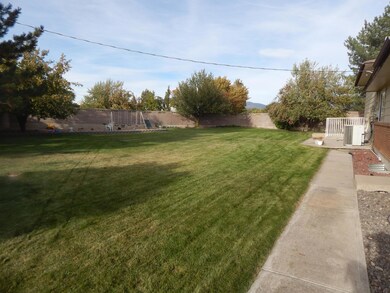 Backyard (2)