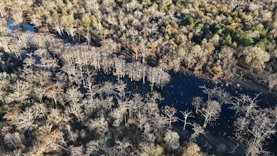 1215 Dennis Slaughter Rd, Pollock, LA 71467 - photo 3