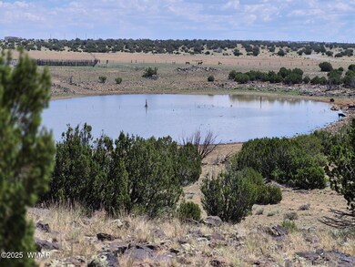 0 Cr 8637 Lots 195 & 196 unit 252871, Concho, AZ 85924 - photo 3