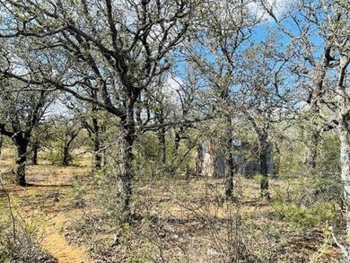 44 County Road 129, Brownwood, TX 76801 - photo 4