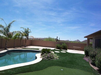 Backyard facing West 3