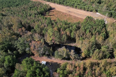 TBD Sand Plant Rd, Nichols, SC 29581 - photo 5