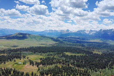 161 AC TBD Kahvah Ln, Placerville, CO 81430 - photo 4