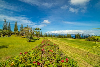 301 Plantation Estates Dr, Lahaina, HI 96761 - photo 5