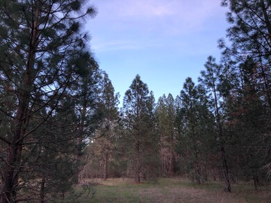 4201 New Hope Rd, Grants Pass, OR 97527 - photo 2