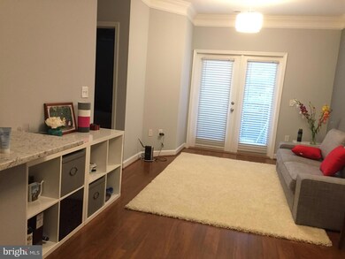 The Fitz at Rockville Town Center, Rockville, MD 20850 - photo 4