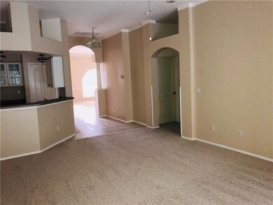 420 Cypress View Dr, Oldsmar, FL 34677 - photo 7